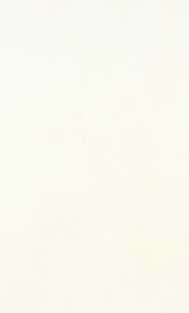 Vivid White