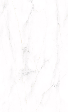 Snowdrift