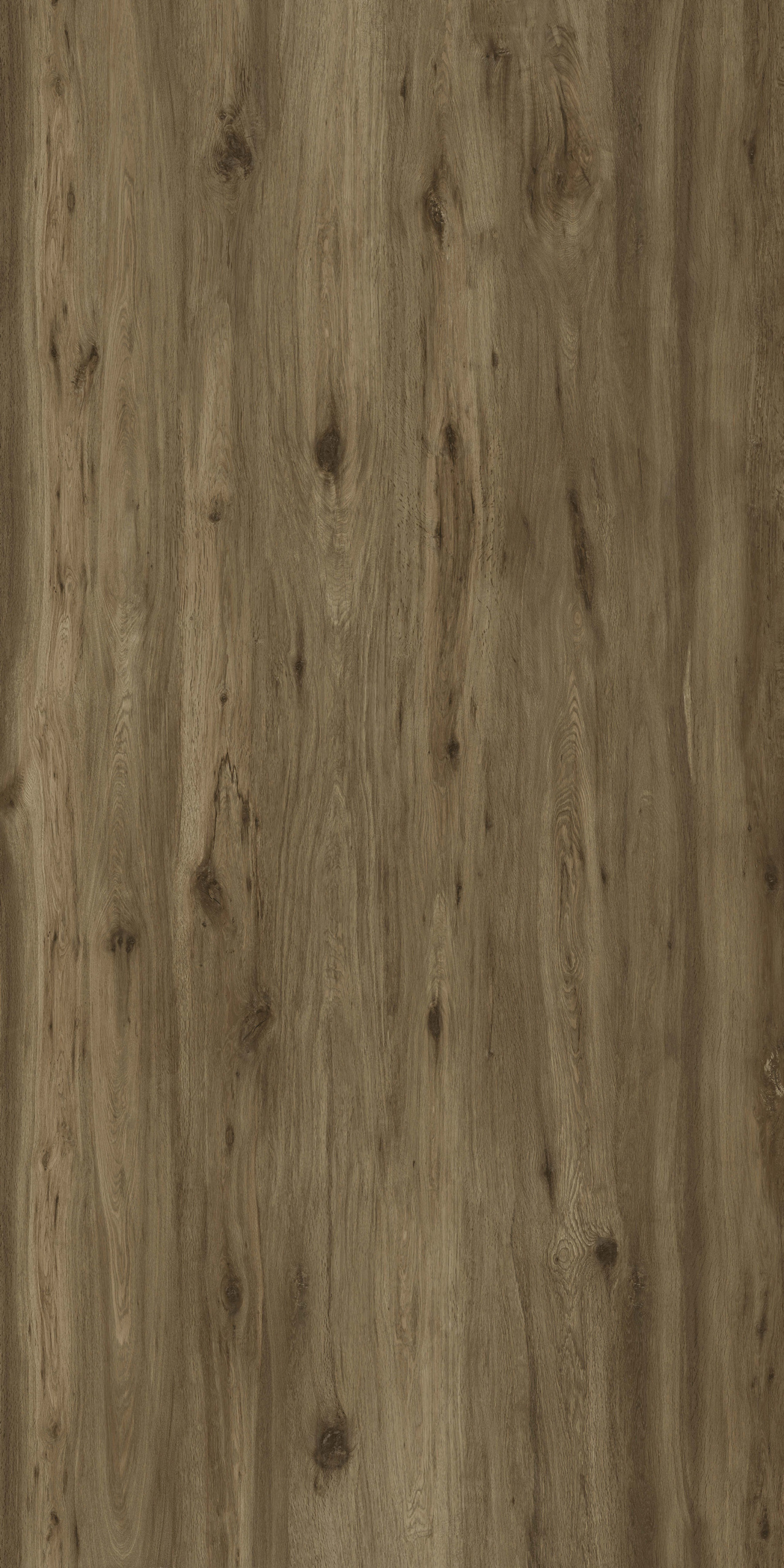 Boreal 170