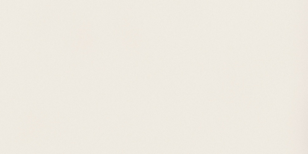 Absolute White
