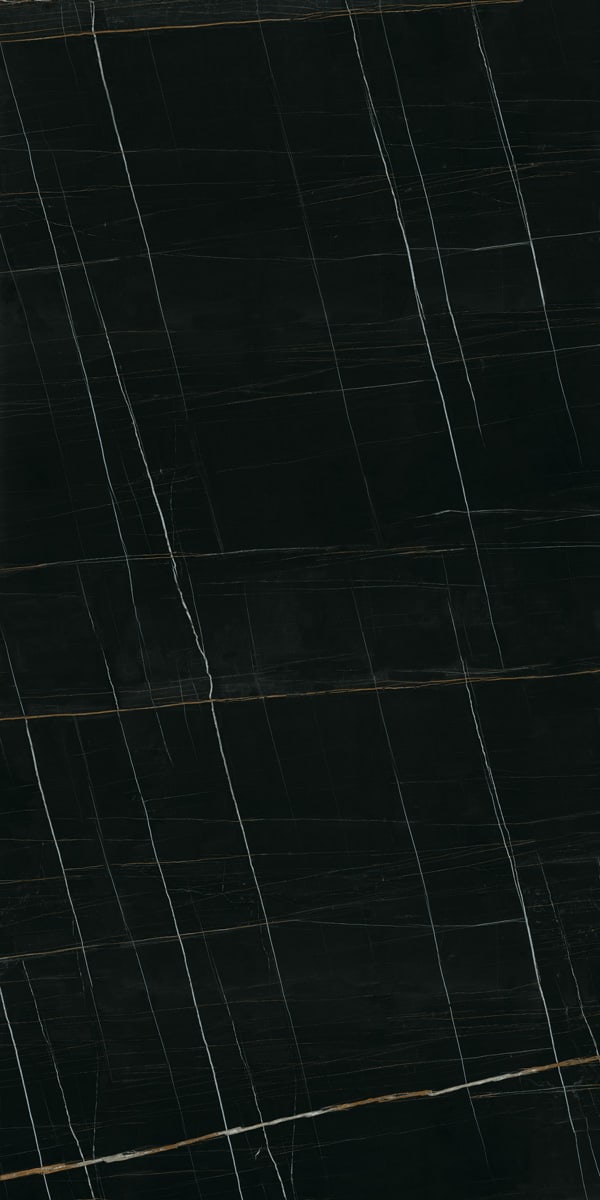 Sahara Noir